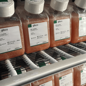 Gibco-FBS-10270-1000